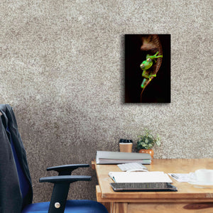 'Frog Portrait' by Thomas Haney, Giclee Canvas Wall Art,12 x 18