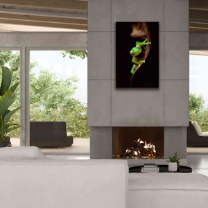 'Frog Portrait' by Thomas Haney, Giclee Canvas Wall Art,26 x 40