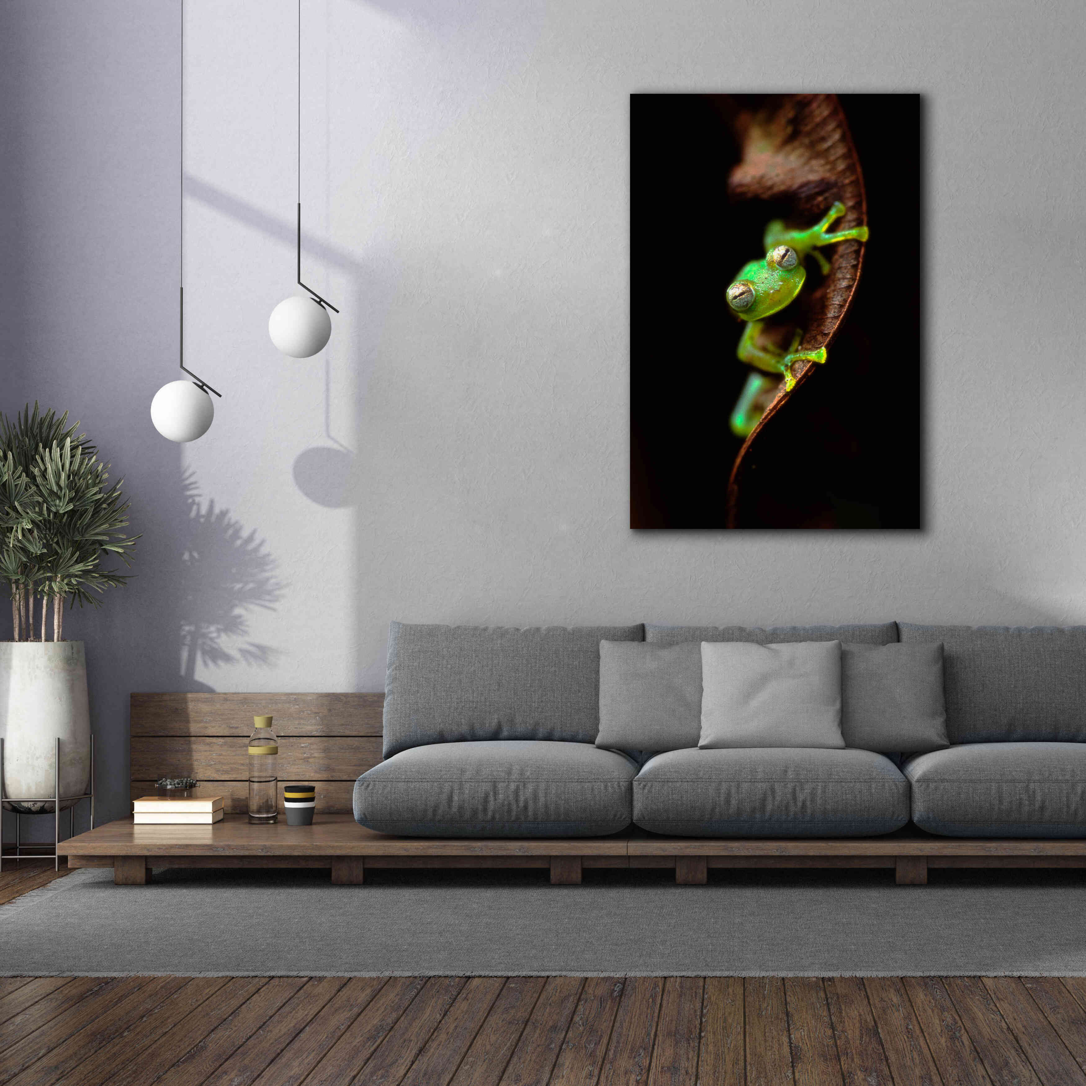 'Frog Portrait' by Thomas Haney, Giclee Canvas Wall Art,40 x 60