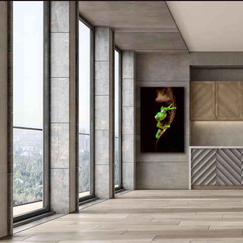 Image of 'Frog Portrait' by Thomas Haney, Giclee Canvas Wall Art,40 x 60