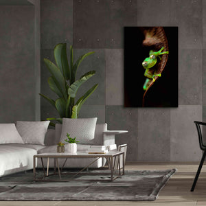 'Frog Portrait' by Thomas Haney, Giclee Canvas Wall Art,40 x 60