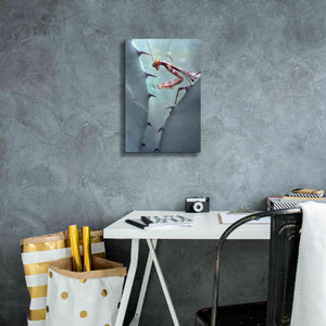 'Mantis Agave' by Thomas Haney, Giclee Canvas Wall Art,12 x 18