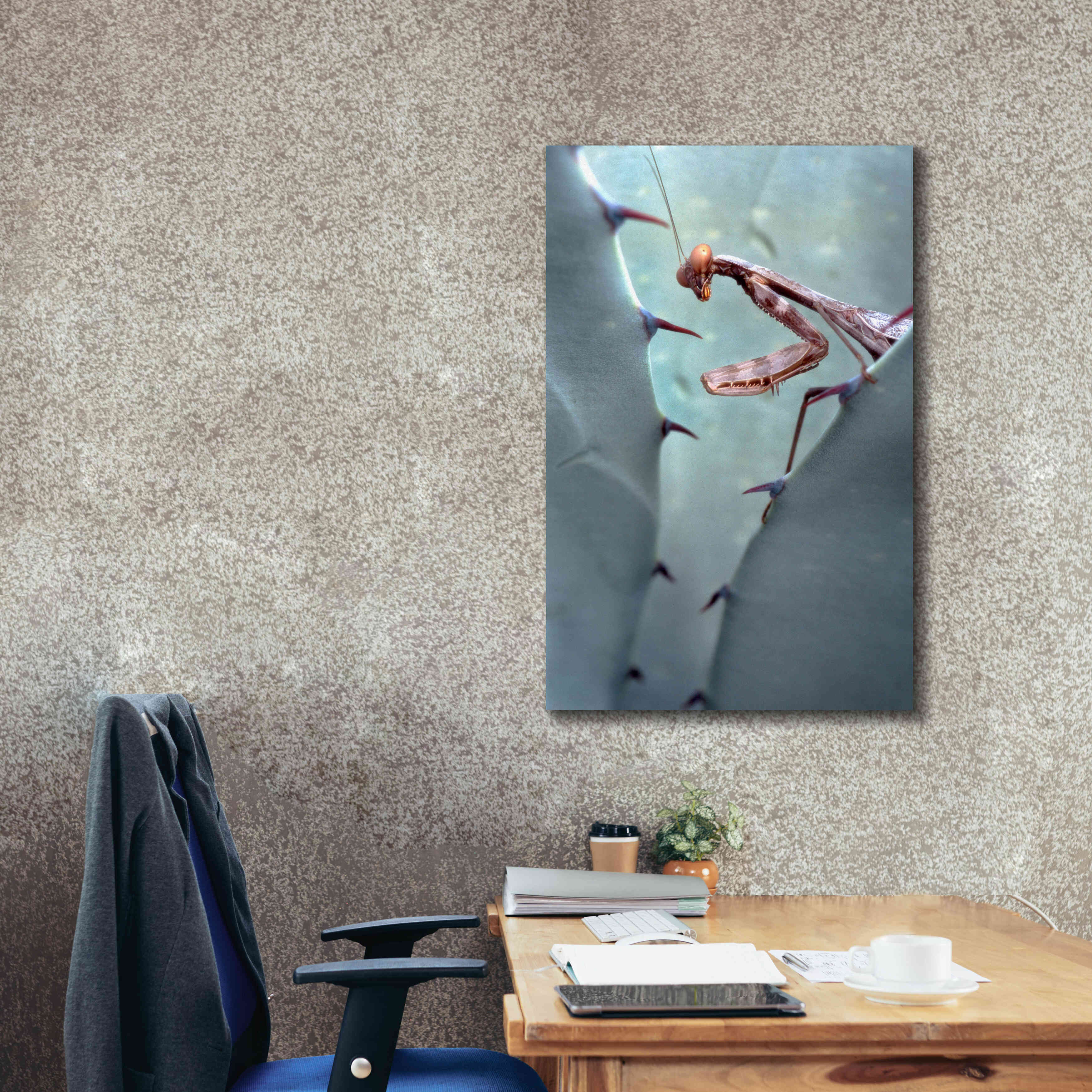 'Mantis Agave' by Thomas Haney, Giclee Canvas Wall Art,26 x 40