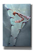 'Mantis Agave' by Thomas Haney, Giclee Canvas Wall Art