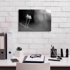 'Mushroom Tiny' by Thomas Haney, Giclee Canvas Wall Art,18 x 12