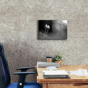 'Mushroom Tiny' by Thomas Haney, Giclee Canvas Wall Art,18 x 12