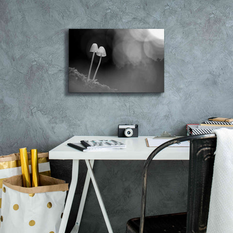 Image of 'Mushroom Tiny' by Thomas Haney, Giclee Canvas Wall Art,18 x 12