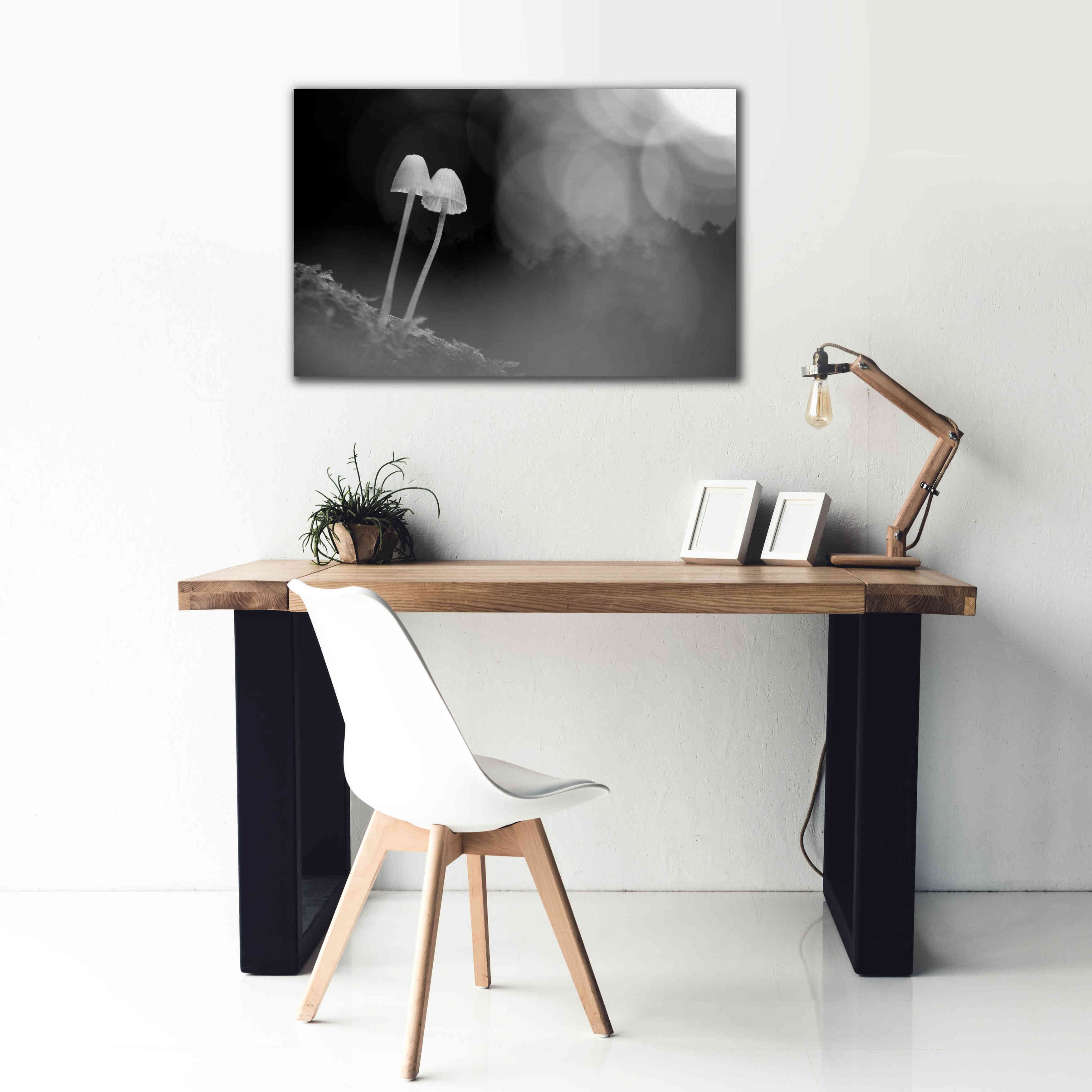 'Mushroom Tiny' by Thomas Haney, Giclee Canvas Wall Art,40 x 26
