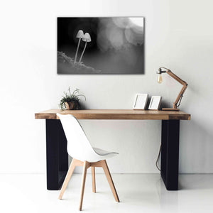 'Mushroom Tiny' by Thomas Haney, Giclee Canvas Wall Art,40 x 26