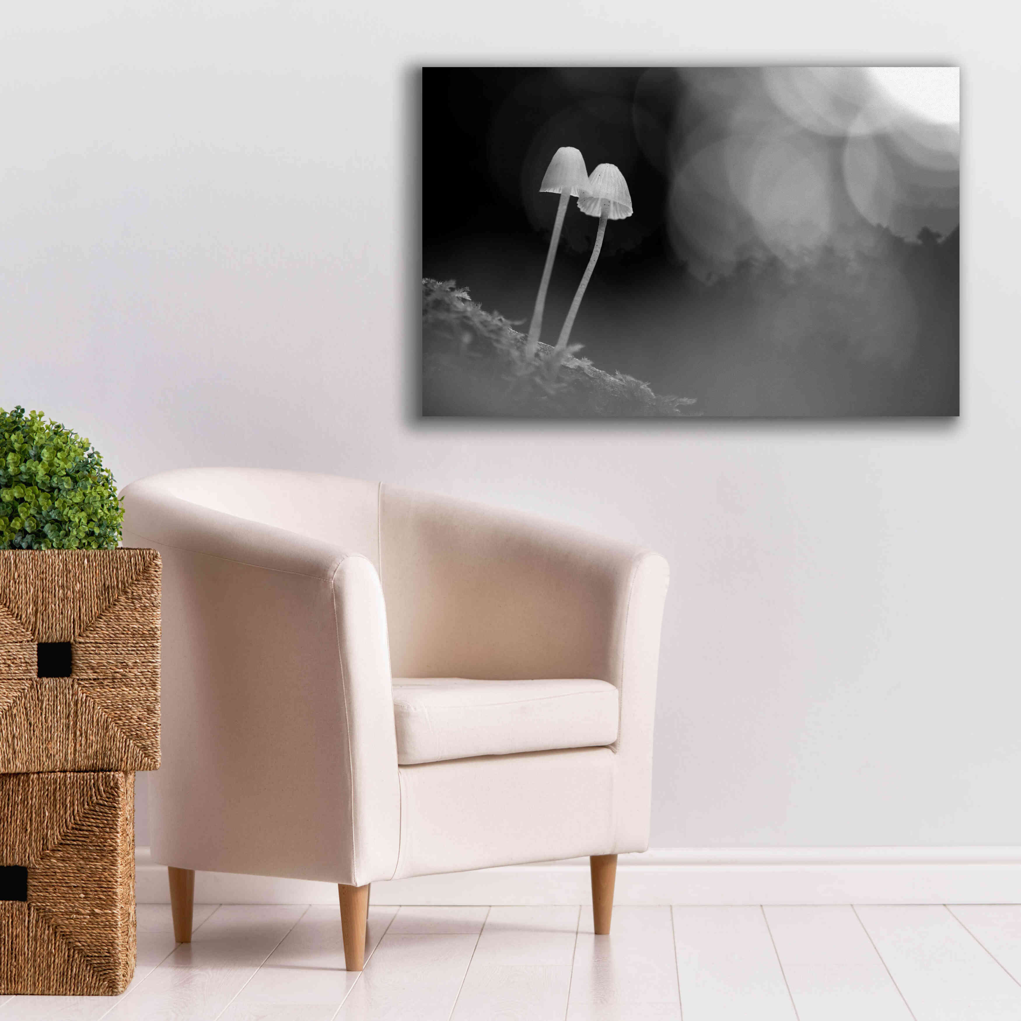 'Mushroom Tiny' by Thomas Haney, Giclee Canvas Wall Art,40 x 26