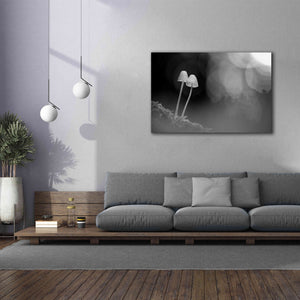 'Mushroom Tiny' by Thomas Haney, Giclee Canvas Wall Art,60 x 40