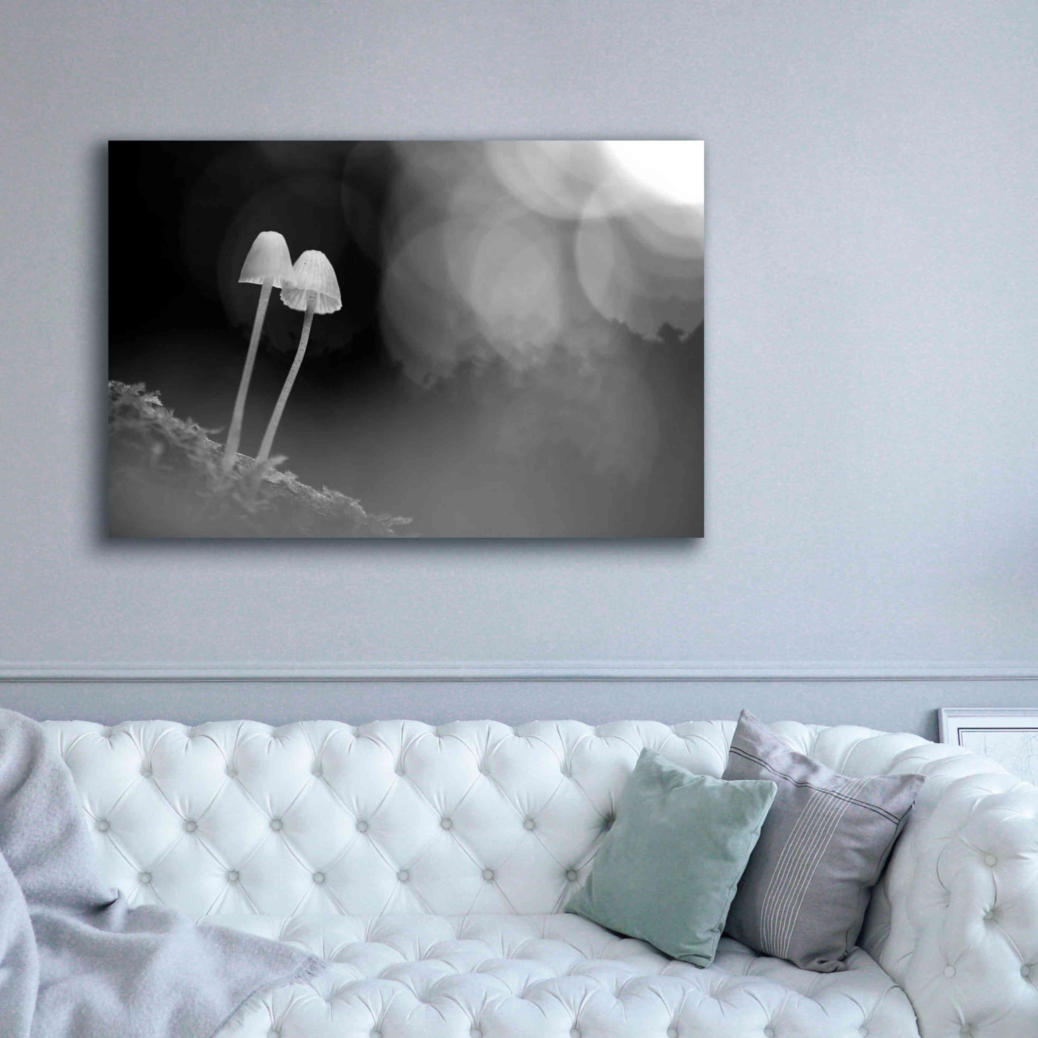 'Mushroom Tiny' by Thomas Haney, Giclee Canvas Wall Art,60 x 40
