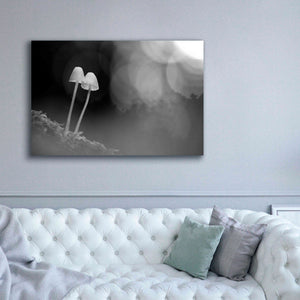 'Mushroom Tiny' by Thomas Haney, Giclee Canvas Wall Art,60 x 40
