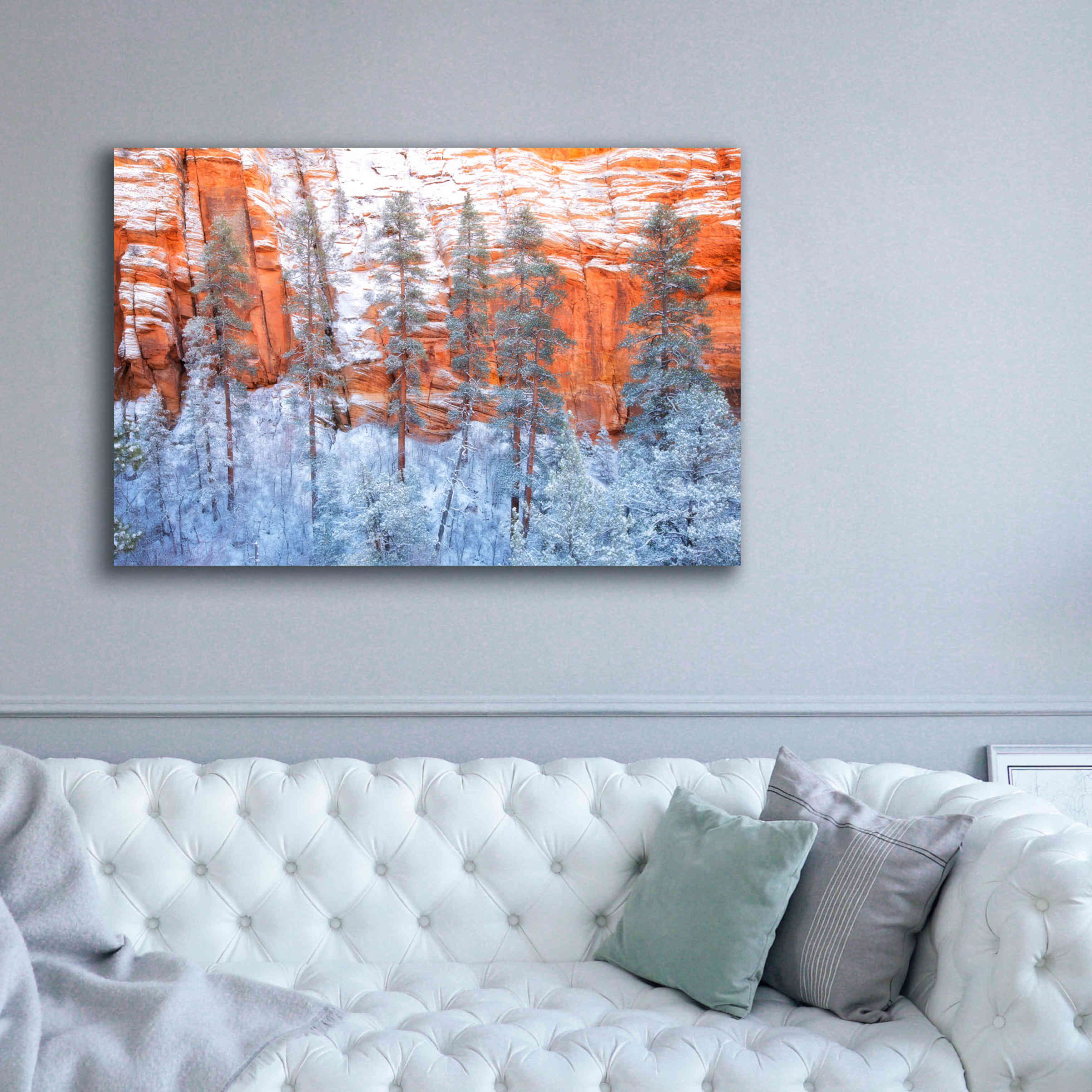 'Ponderosa Sandstone' by Thomas Haney, Giclee Canvas Wall Art,60 x 40