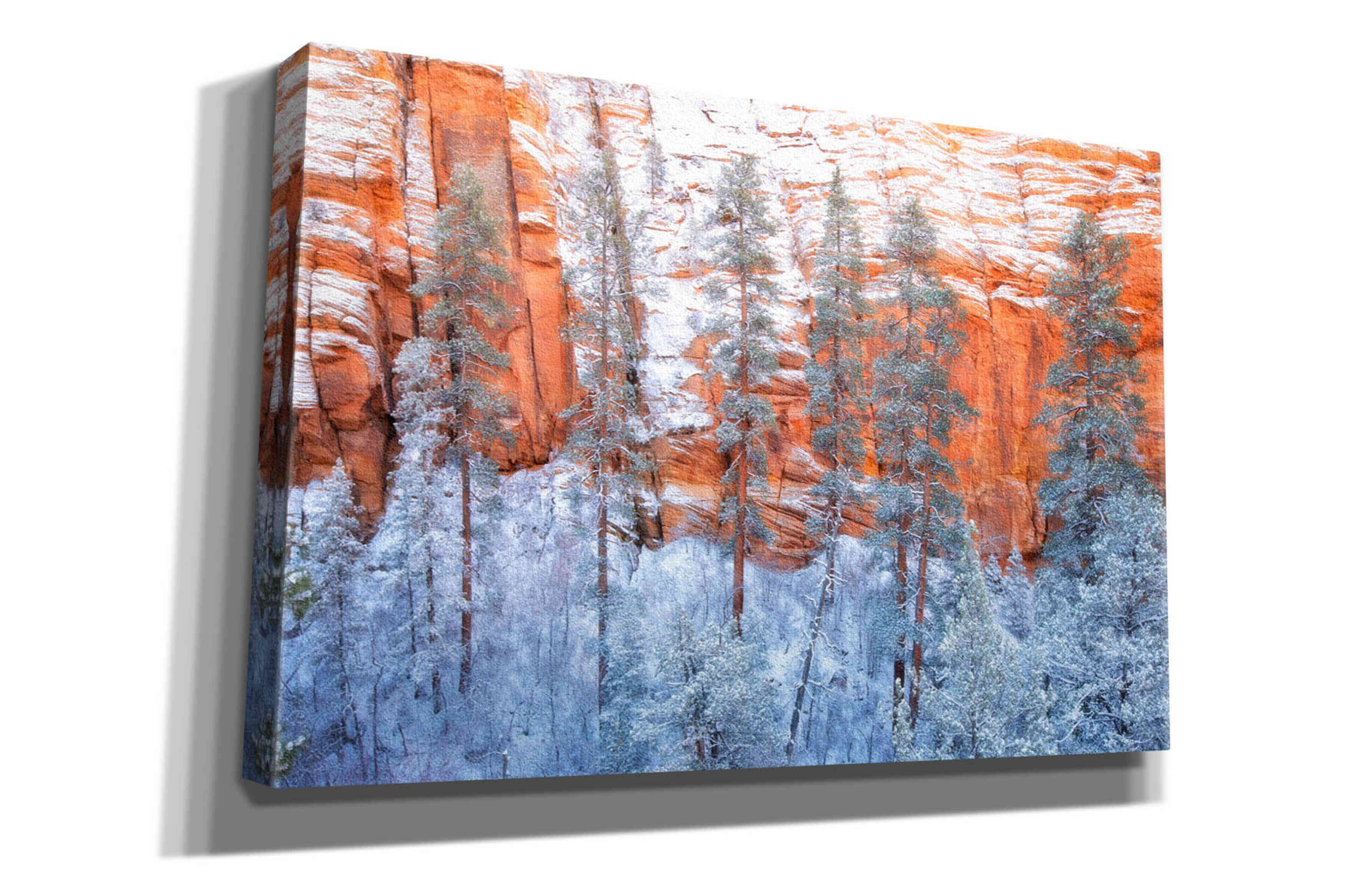 'Ponderosa Sandstone' by Thomas Haney, Giclee Canvas Wall Art
