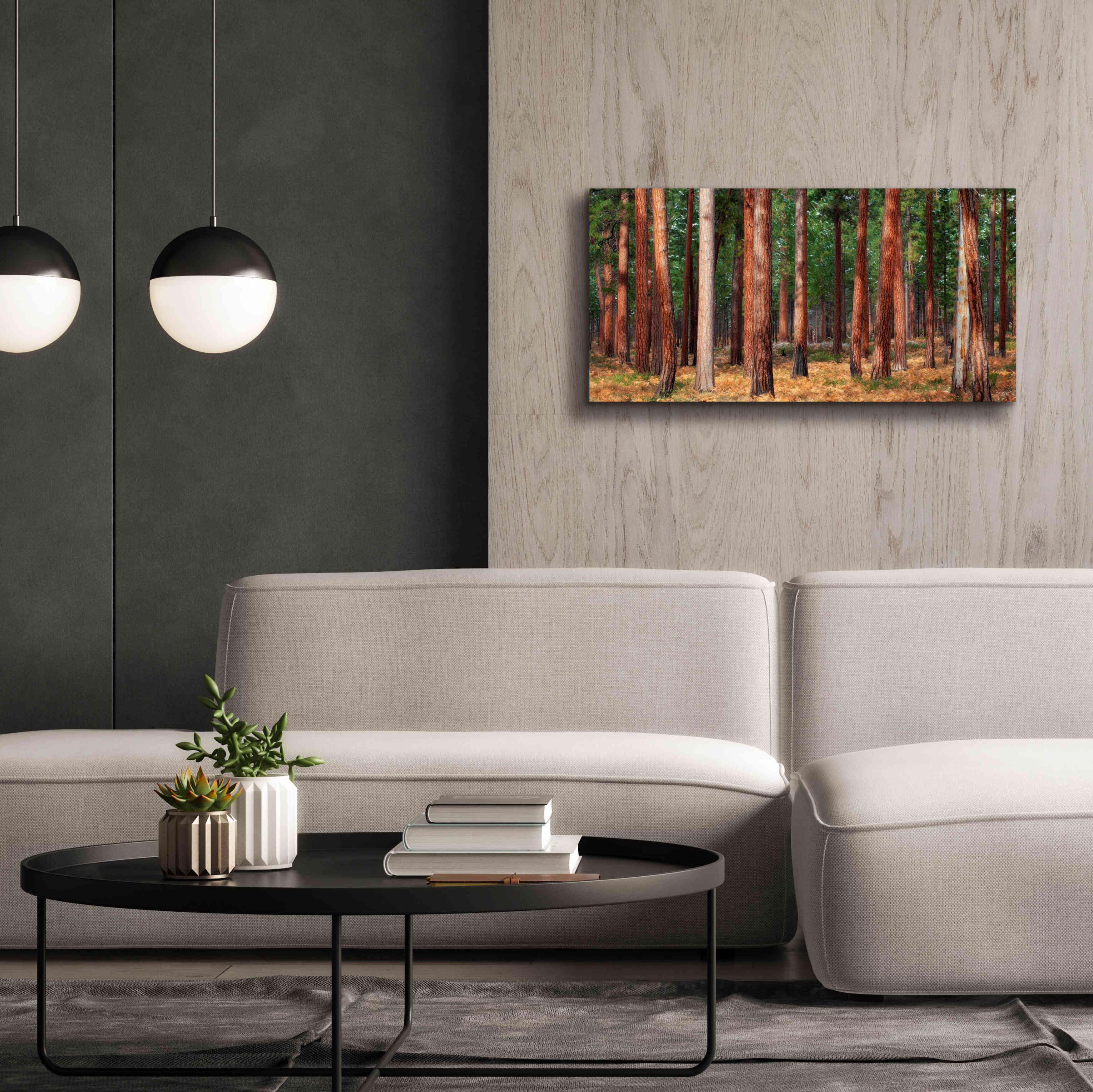 'Ponderosa Trunks' by Thomas Haney, Giclee Canvas Wall Art,40 x 20