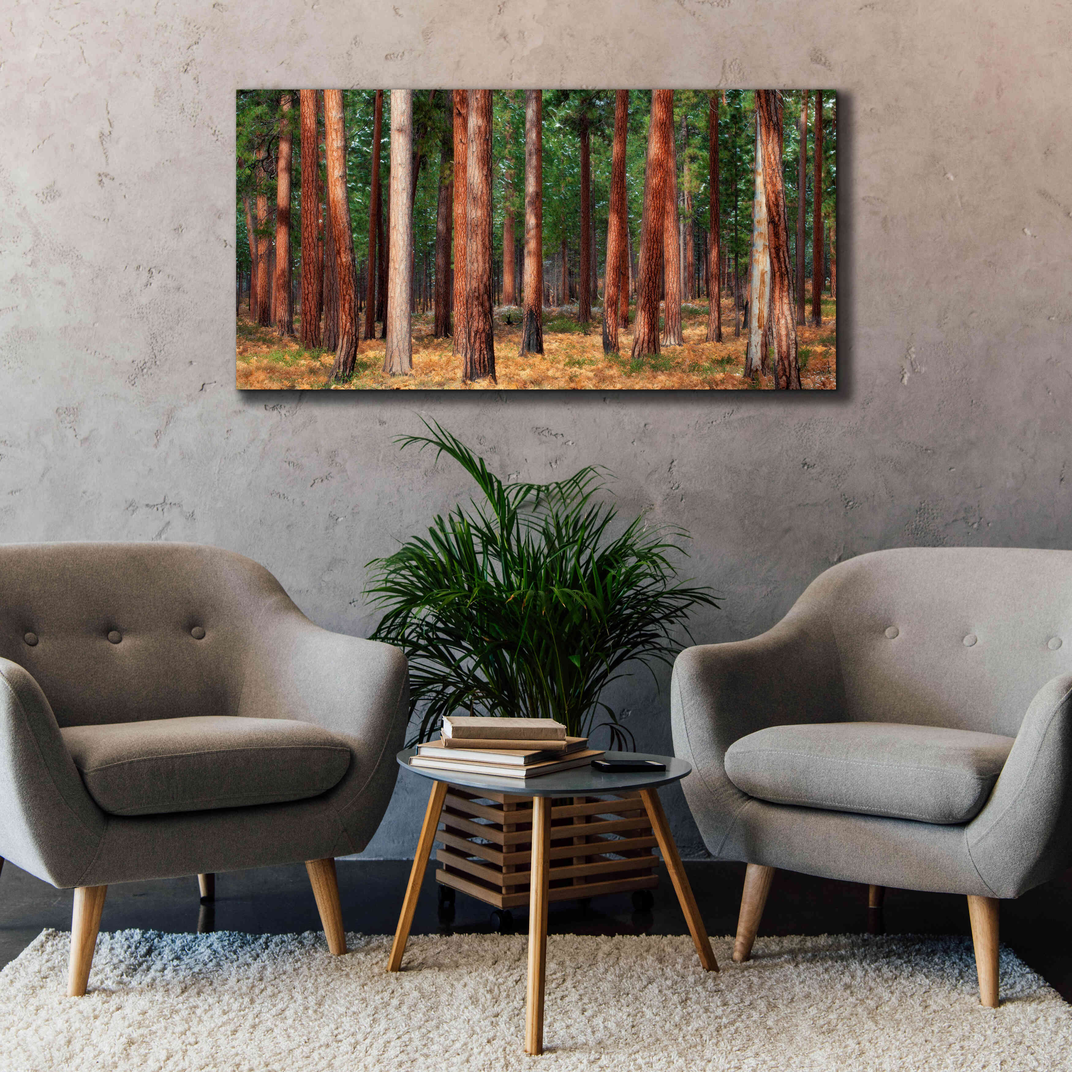 'Ponderosa Trunks' by Thomas Haney, Giclee Canvas Wall Art,60 x 30