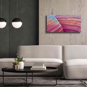 'Rainbow Rocks' by Thomas Haney, Giclee Canvas Wall Art,40 x 20