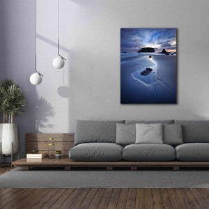 'Reflection Whale Head' by Thomas Haney, Giclee Canvas Wall Art,40 x 54