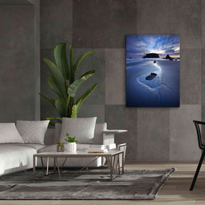 'Reflection Whale Head' by Thomas Haney, Giclee Canvas Wall Art,40 x 54