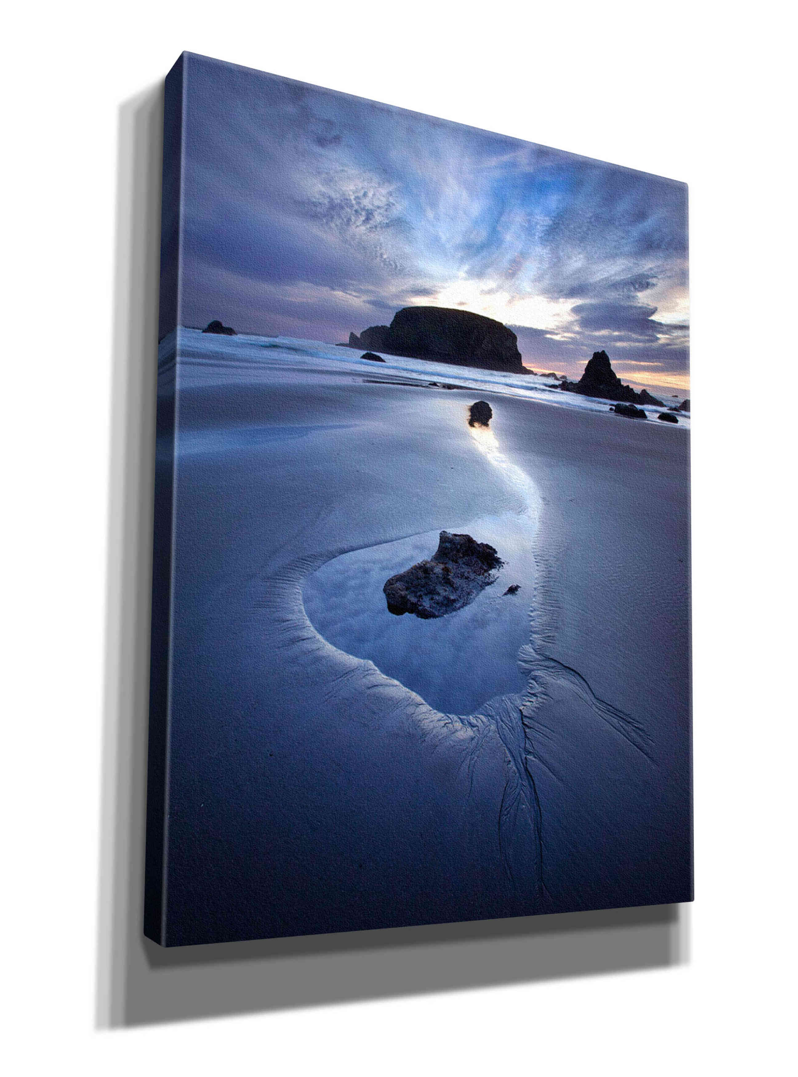 'Reflection Whale Head' by Thomas Haney, Giclee Canvas Wall Art