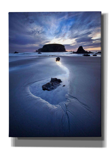 Image of 'Reflection Whale Head' by Thomas Haney, Giclee Canvas Wall Art
