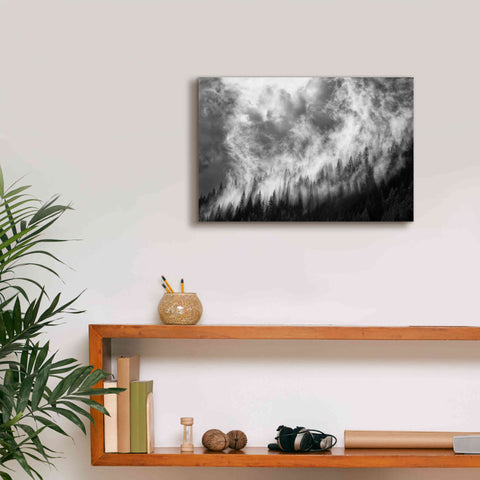 Image of 'Rising Mist 3' by Thomas Haney, Giclee Canvas Wall Art,18 x 12