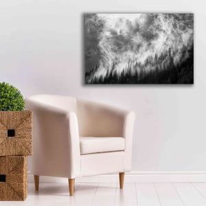 'Rising Mist 3' by Thomas Haney, Giclee Canvas Wall Art,40 x 26