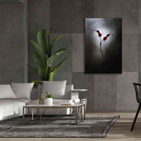 Image of 'Rose Hips' by Thomas Haney, Giclee Canvas Wall Art,40 x 60