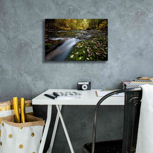 'Rushing Best' by Thomas Haney, Giclee Canvas Wall Art,18 x 12