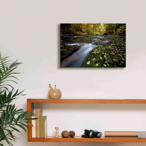 'Rushing Best' by Thomas Haney, Giclee Canvas Wall Art,18 x 12