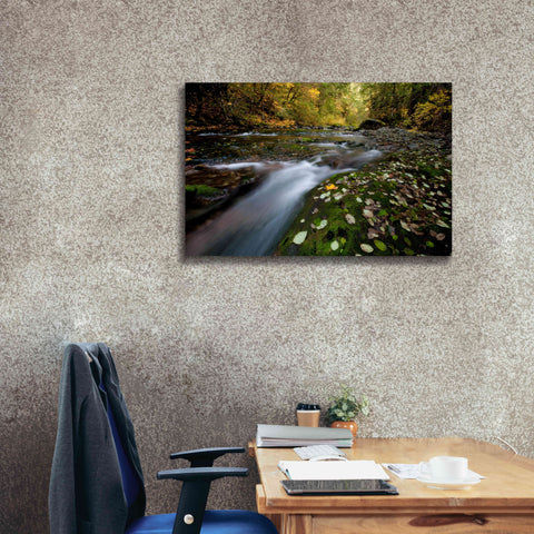 Image of 'Rushing Best' by Thomas Haney, Giclee Canvas Wall Art,40 x 26