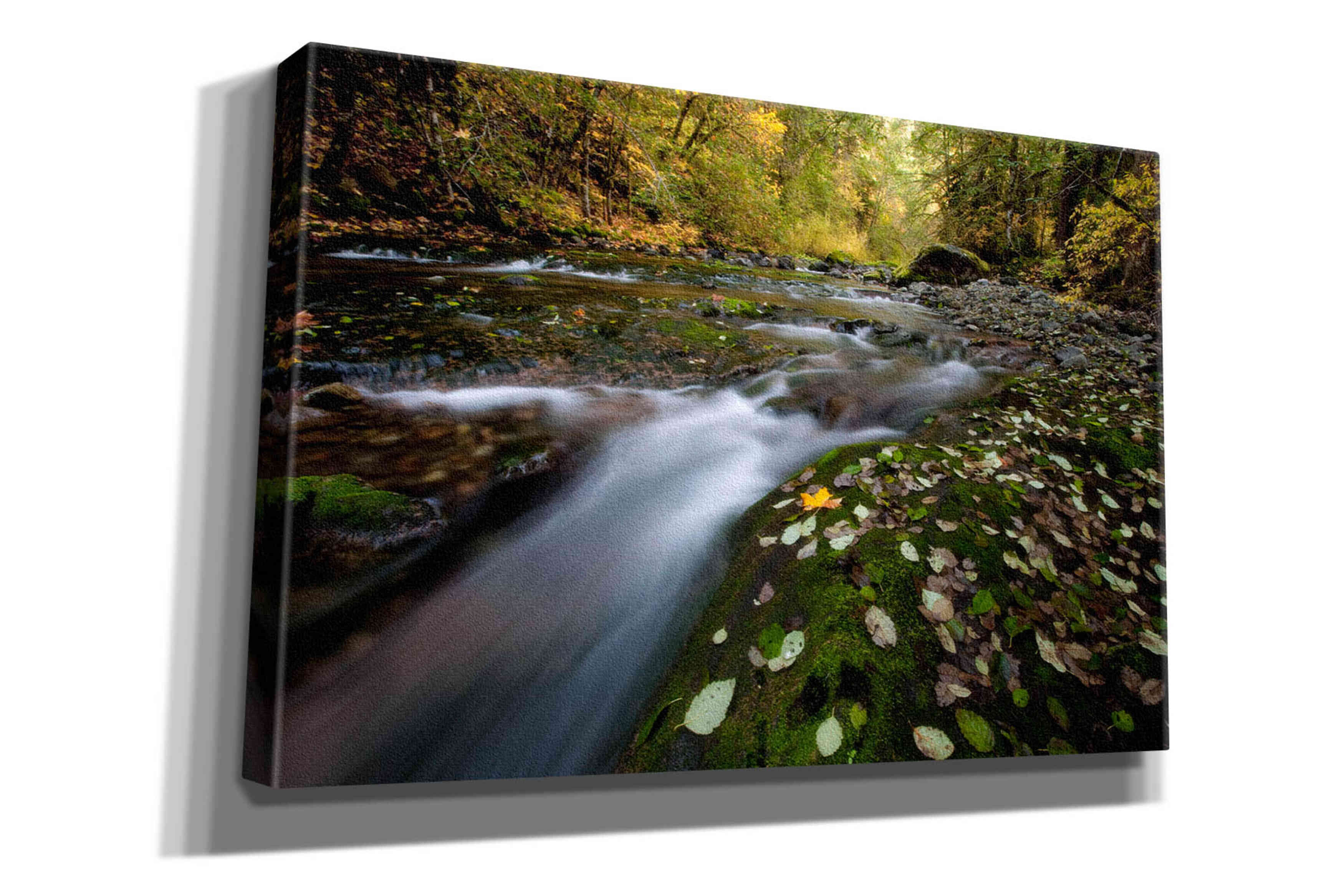 'Rushing Best' by Thomas Haney, Giclee Canvas Wall Art