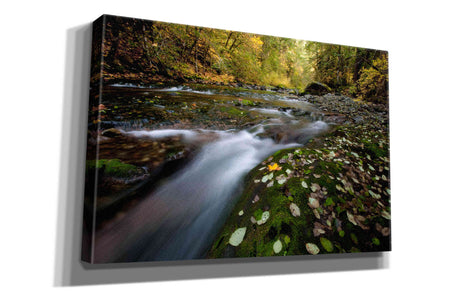 'Rushing Best' by Thomas Haney, Giclee Canvas Wall Art