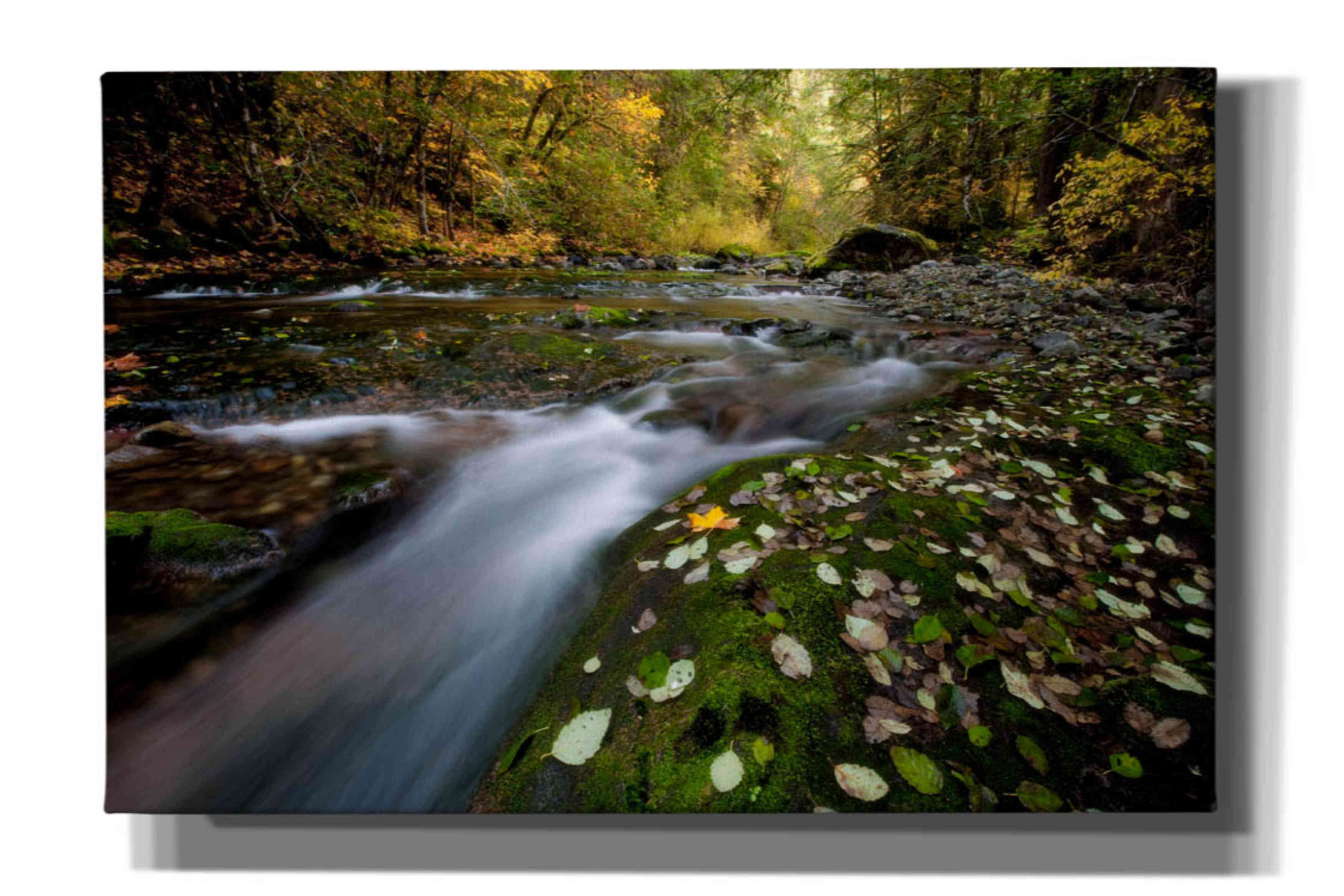 'Rushing Best' by Thomas Haney, Giclee Canvas Wall Art