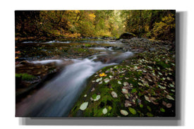 'Rushing Best' by Thomas Haney, Giclee Canvas Wall Art