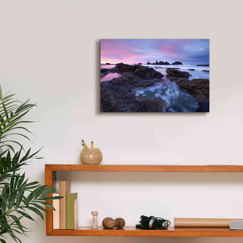 Image of 'Seal Rock Colors' by Thomas Haney, Giclee Canvas Wall Art,18 x 12