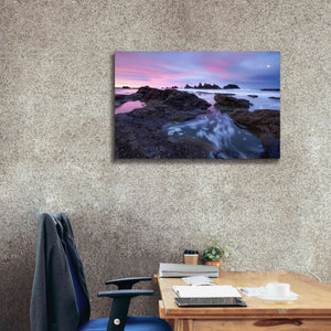 'Seal Rock Colors' by Thomas Haney, Giclee Canvas Wall Art,40 x 26