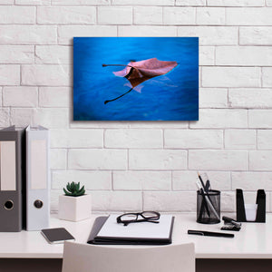 'Sycamore Reflection' by Thomas Haney, Giclee Canvas Wall Art,18 x 12
