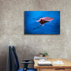'Sycamore Reflection' by Thomas Haney, Giclee Canvas Wall Art,40 x 26