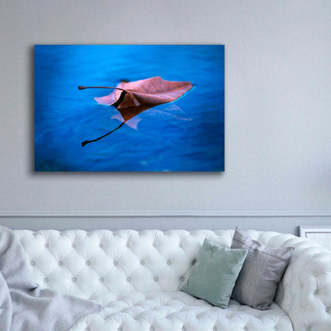 Image of 'Sycamore Reflection' by Thomas Haney, Giclee Canvas Wall Art,60 x 40