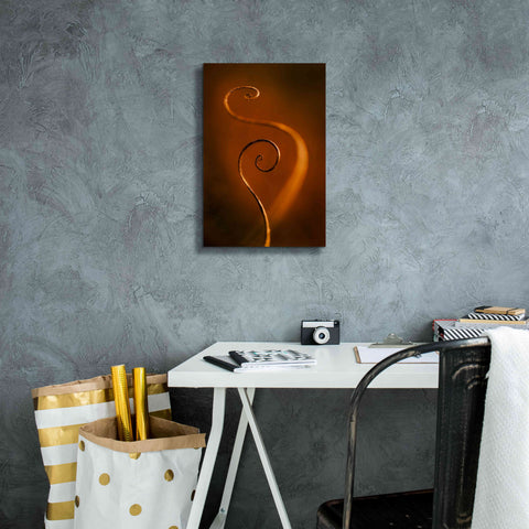 Image of 'Tendrils Red' by Thomas Haney, Giclee Canvas Wall Art,12 x 18