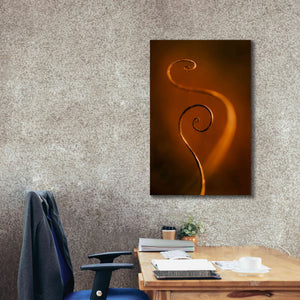 'Tendrils Red' by Thomas Haney, Giclee Canvas Wall Art,26 x 40