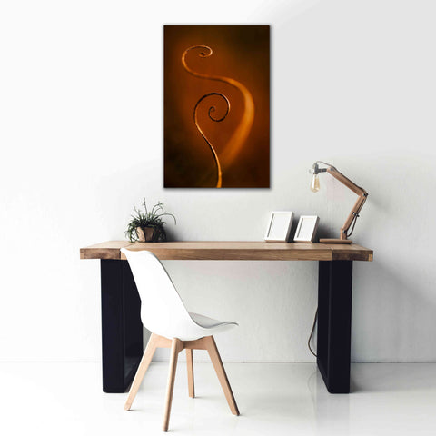 Image of 'Tendrils Red' by Thomas Haney, Giclee Canvas Wall Art,26 x 40