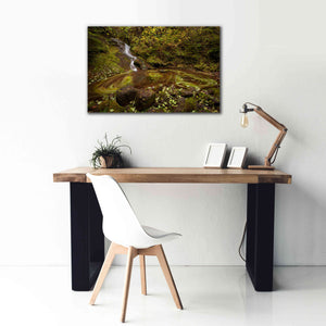 'Three Blurs' by Thomas Haney, Giclee Canvas Wall Art,40 x 26