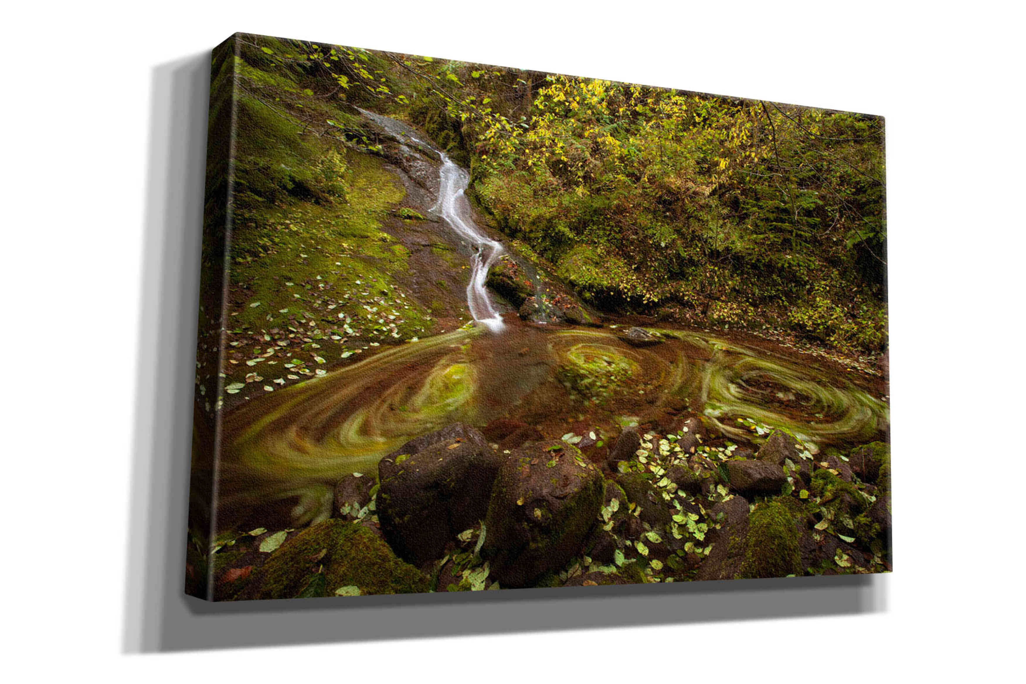 'Three Blurs' by Thomas Haney, Giclee Canvas Wall Art