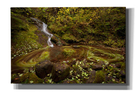 'Three Blurs' by Thomas Haney, Giclee Canvas Wall Art