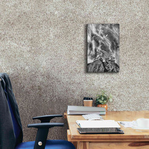 'Tree Island Clouds B&W Pushed' by Thomas Haney, Giclee Canvas Wall Art,12 x 18