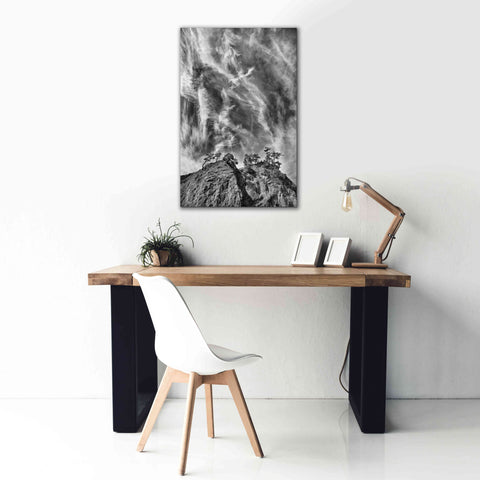 Image of 'Tree Island Clouds B&W Pushed' by Thomas Haney, Giclee Canvas Wall Art,26 x 40