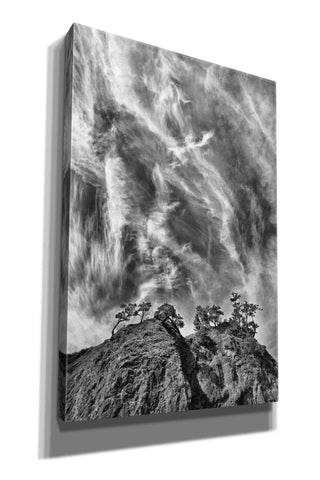 Image of 'Tree Island Clouds B&W Pushed' by Thomas Haney, Giclee Canvas Wall Art